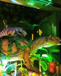 -恐龙探索乐园(磁器口店)