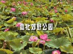 -嘉北郊野公园