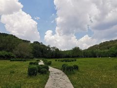 -高尔山公园