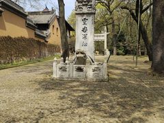 -灵谷景区