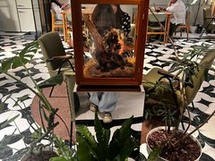 -一尺花园(安和花园店)