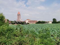 -渡海小渔村.老辈日照菜