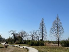 -良渚古城遗址公园