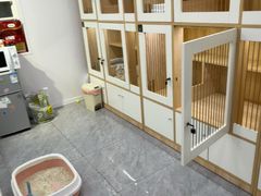 -爱洗澡的猫(天河路店)