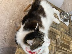 -小时光咖啡馆(北锣鼓巷店)