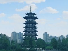-洋湖国家湿地公园