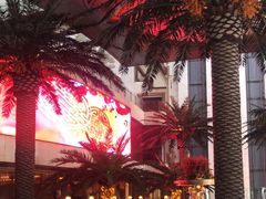 -阿外楼度假酒店-阿咖啡自助餐厅