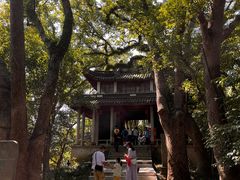 -溪口-滕头旅游景区