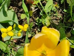 -长春公园(普阳街道)