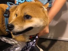 -香港会议展览中心演讲厅