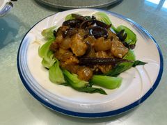 海参烧蹄筋-清雅轩·清真菜·春饼•烤鸭(滑翔店)