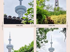 -南京古林公园