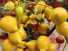 -越秀西湖花市(广州城市广场花卉店)