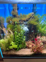 点击看大图 -Lumi露米·美甲美睫品质店