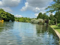 -上海共青森林公园