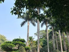 -荔香公园