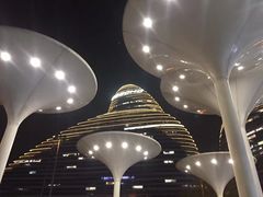 -锦尚阁烤鱼(望京新荟城店)