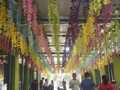 -马白开来特色羊排揪片子  (总店)