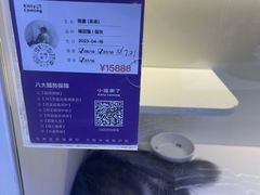 -小猫来了·猫舍(红山六九七九店)