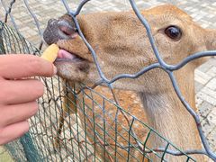 -长白岛森林公园