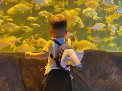 -左海海底世界