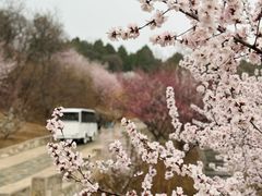 -北京西山国家森林公园