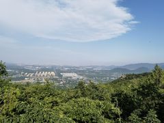 -阳台山自然风景区