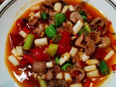 火爆鱼肚-巴壁馆(海棠花语店)