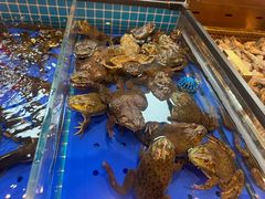 -黑金·寻焰自助百汇·烤肉·火锅(中街店)