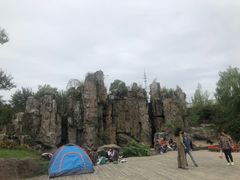 -秀丽东方