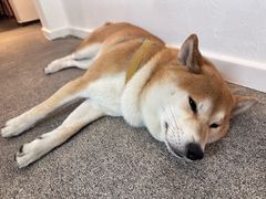 -三目仓咖啡(贤南路店)