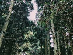 -井冈山风景名胜区