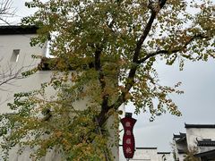 -特色口水鱼馆