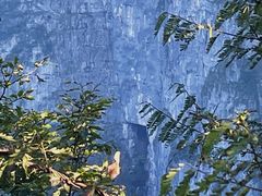 -张家界天门山国家森林公园