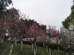 -乌山风景区