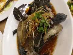 -真浪花园海鲜餐馆