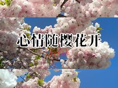 -石岛赤山风景区