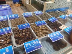 -双井轩(双井店)