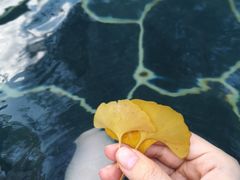 -和顺柏联温泉