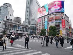 -涩谷全向十字路口