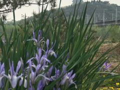 -永定河休闲森林公园