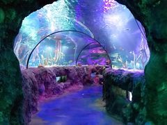 -沈阳海洋探索中心