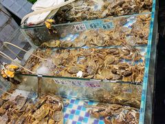 -新农都水产市场