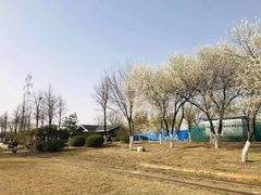 -永定河休闲森林公园