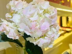 -燕庭·纯燕窝·甜品下午茶(南京西路店)