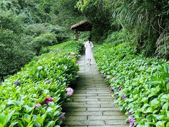 -鼓岭旅游度假区