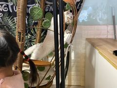 -平行世界·猫咖(首经贸店)