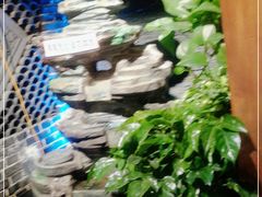-新派川菜馆(济南路店)