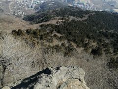 -北京西山国家森林公园