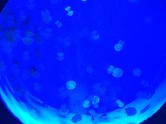 -常州海昌海洋探索馆